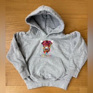 Gray Hoodie with Colorful Flame Monster Graphic